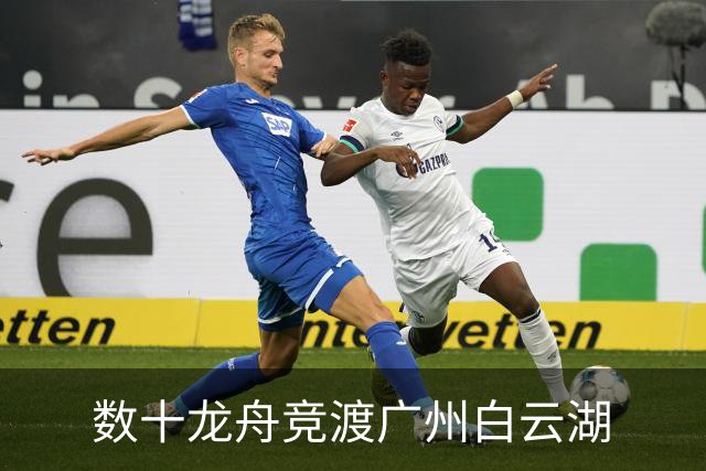 数十龙舟竞渡广州白云湖