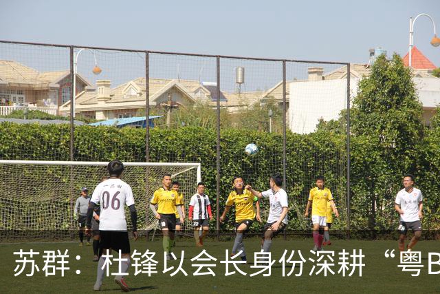 苏群：杜锋以会长身份深耕“粤BA” 联动多部门激活广东文旅消费